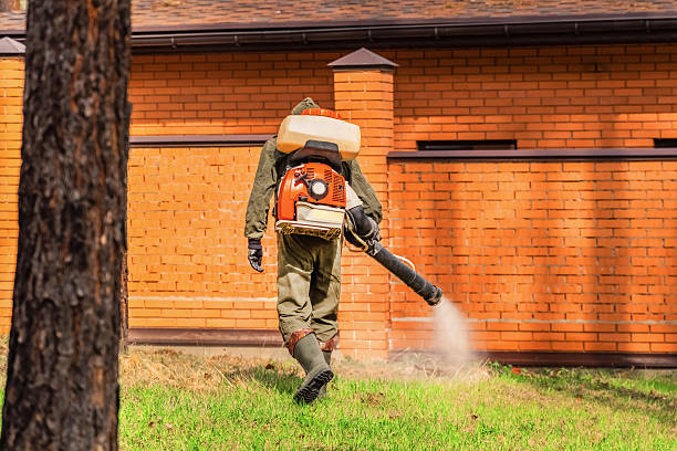 Trusted Bed Bug Control service in Fort Gibson, OK - Nex Pest Control